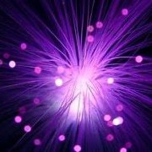 Meet your Posher, Sandy